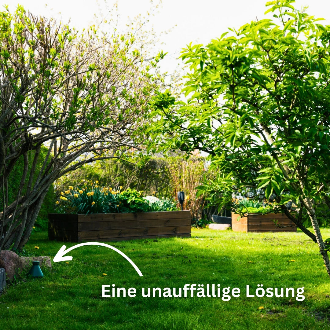 Die Schneckenfalle