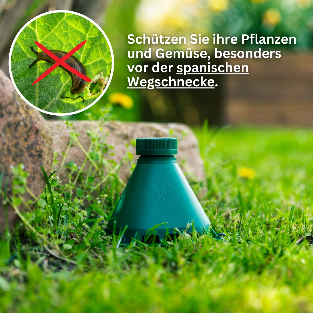 Die Schneckenfalle