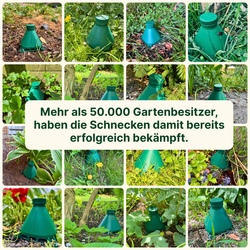 Die Schneckenfalle